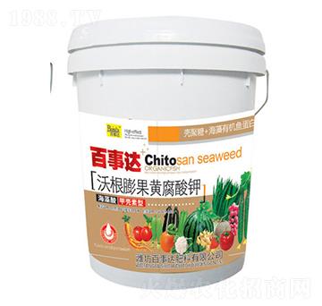 �ָ�����S�����-�����_(d��)