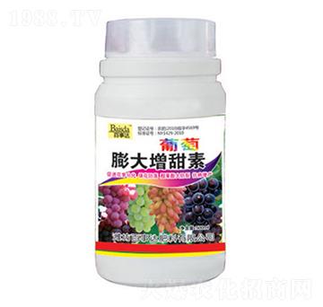 �������������-�����_