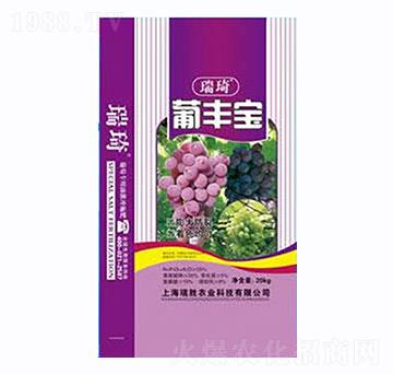 ���S��-����-�����r(n��ng)�I(y��)