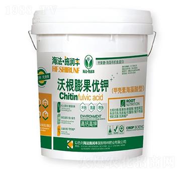 �ָ������(y��u)�-�՝�(r��n)�S