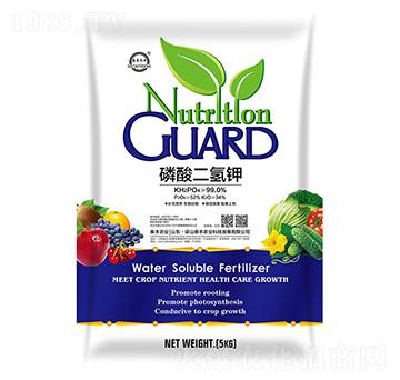 ��������-��ɽ̩�S