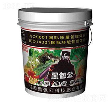 ���ߛ_ʩ��-�ڰ���