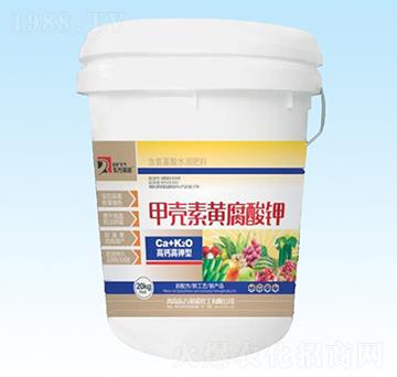 �ך����S�����-�|��Ӣ�Z