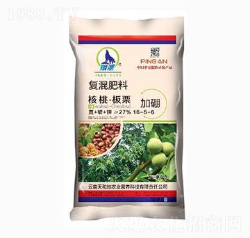 ���Ұ������Ï�(f��)�����16-5-6-����