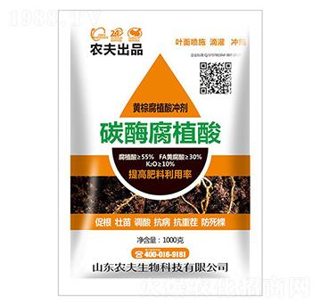 ̼ø��ֲ��-�r(n��ng)��