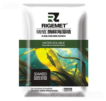 ø�⺣�徫-��ֲ-���w�~��