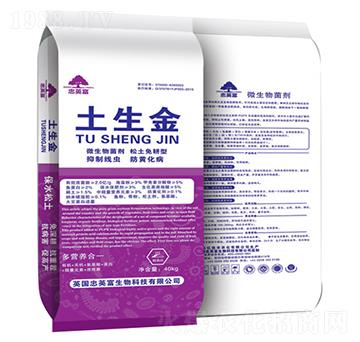 ������-�|���S