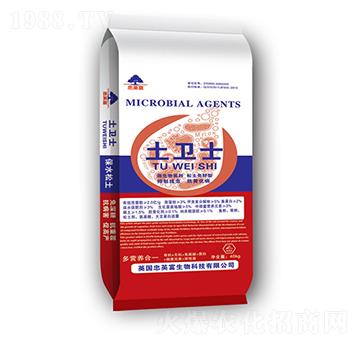 ���l(w��i)ʿ-�|���S