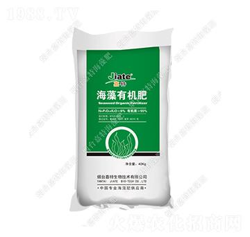 �����ЙC��-��������