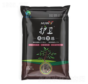 �o�l(w��i)���o������-���G��