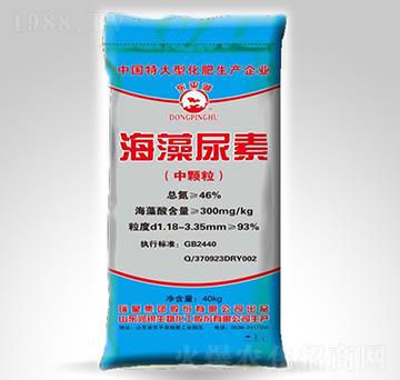 ��������-�|ƽ��-����