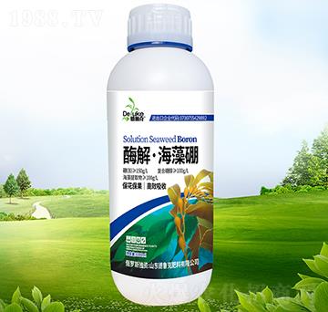 ø�⡤������-������