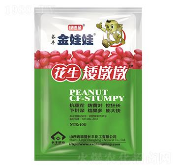 �������ն�-�L�S������-�G����-�L�S����