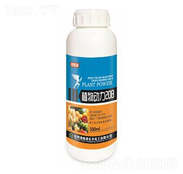 ֲ���(d��ng)��208-�G����-�L(zh��ng)�S����