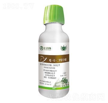 500��ÿ�������硤���׮�����-�з�����