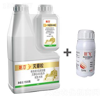 66%�������Ȯ�������������¡+480��ÿ�������+���w-�з�����