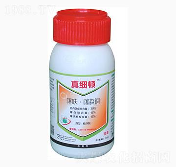 30%��߻����ɭ�~-�漚�D-�|�L����