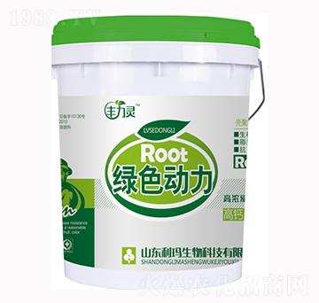 �S���`�Gɫ����-��������