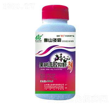 �������z���Ƅ�-��ɽ����