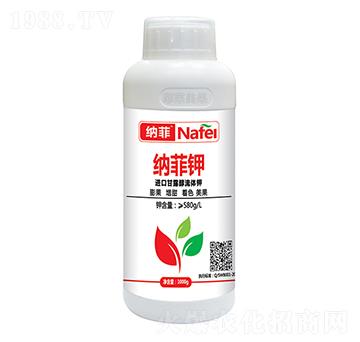 �M(j��n)�ڸ�¶�����w�-�{���-�ְ�ʘI(y��)