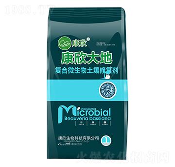 �ͺ�΢���������ޏ̈́�-�������-��������