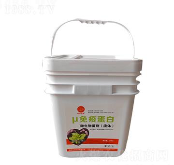 ���ߵ���΢�������-��������