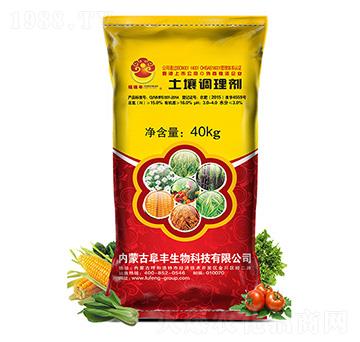 �����{�턩-������-���S����