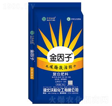 �ͺϷ���18-18-1