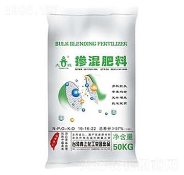 �������19-16-2