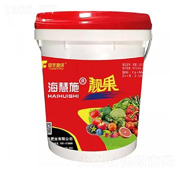 �n��-����ʩ-���S����