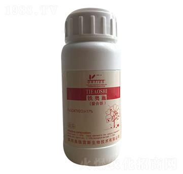 �F�Wʩ�����F-�W����˹