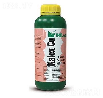 ������(zh��n)��-���h(yu��n)