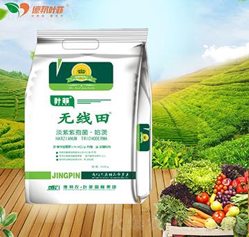 �������߾�������-�o����-�°��~��