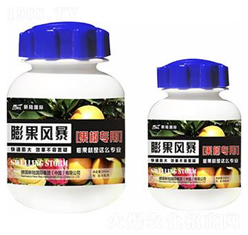 ����(sh��)��(zhu��n)��-����L(f��ng)��-�»�