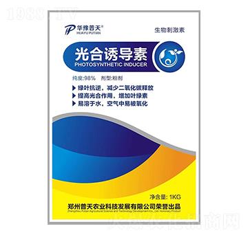 ����T��(d��o)��-�����r(n��ng)�I(y��)