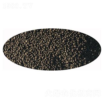 ΢�������-�l(f��)ؔ(c��i)��