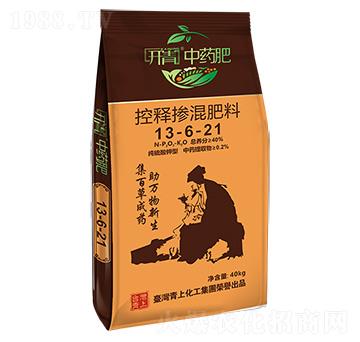 ��ጓ������13-6-21-�_����ˎ��-���ϻ���