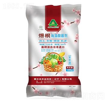 �������������-�۠���