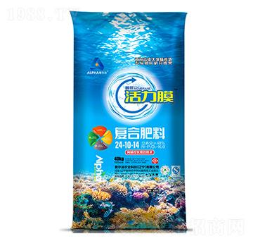 ����Ĥ��(f��)�Ϸ���24-10-14-��(��i)����