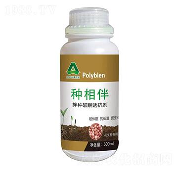 ��N�����T����-�۠���