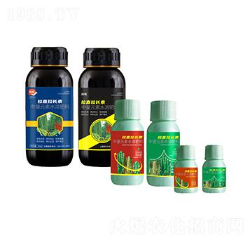 ��ֱ���L(zh��ng)��-���Q