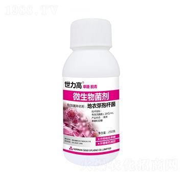 ΢�������-�����߰���Ó��-����������