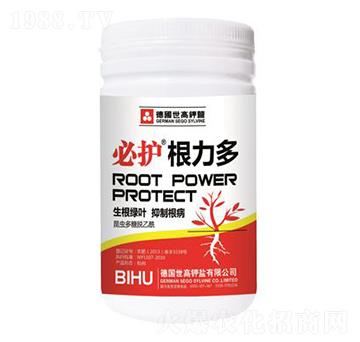 ���o������-����������