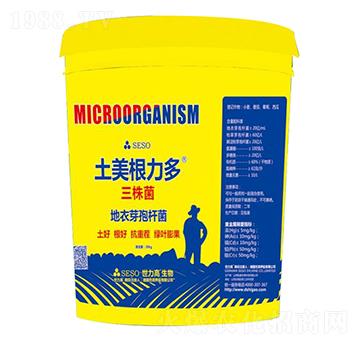 ����������-����������