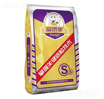 �����͏ͺϷ���-���F���r(n��ng)�I(y��)