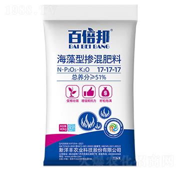 �����͓������17-1