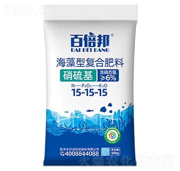 �����͏�(f��)�Ϸ���15-15-15-�ٱ���-�����S