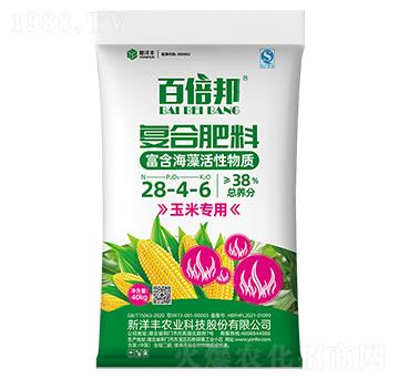 38%���׌��Ï�(f��)�Ϸ���28-4-6-�ٱ���-�����S