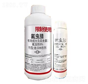 ���x��-�̄�