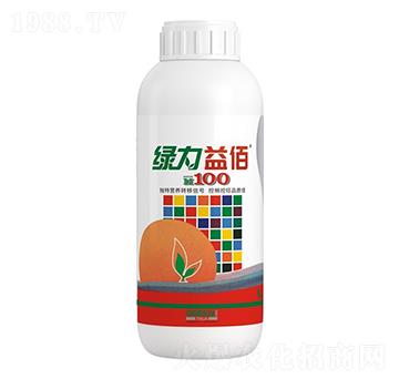 �G�����-�����ط�